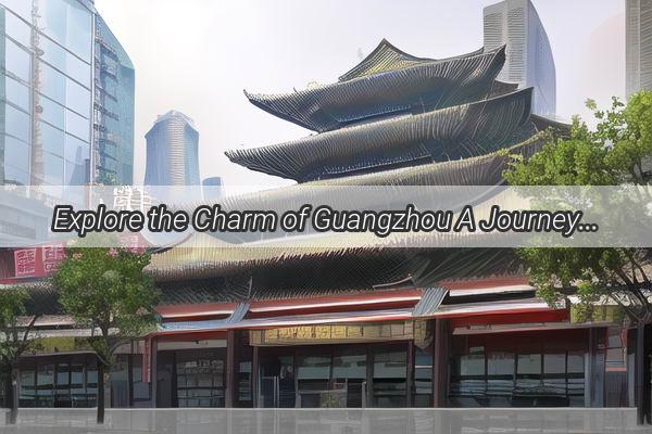 Explore the Charm of Guangzhou A Journey Through Its Most Alluring Landmarks